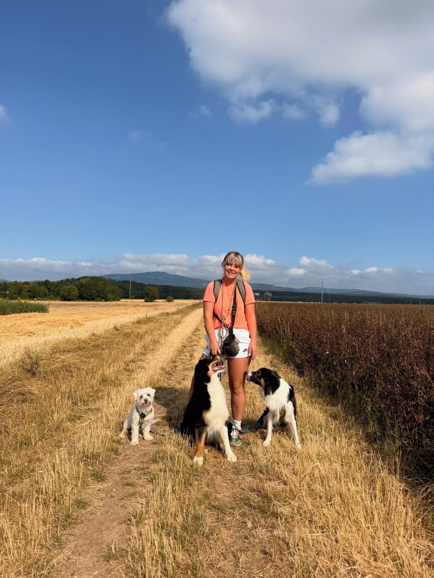 Fabienne mit drei Hunden auf einem Feldweg zwischen Feldern in Oberursel