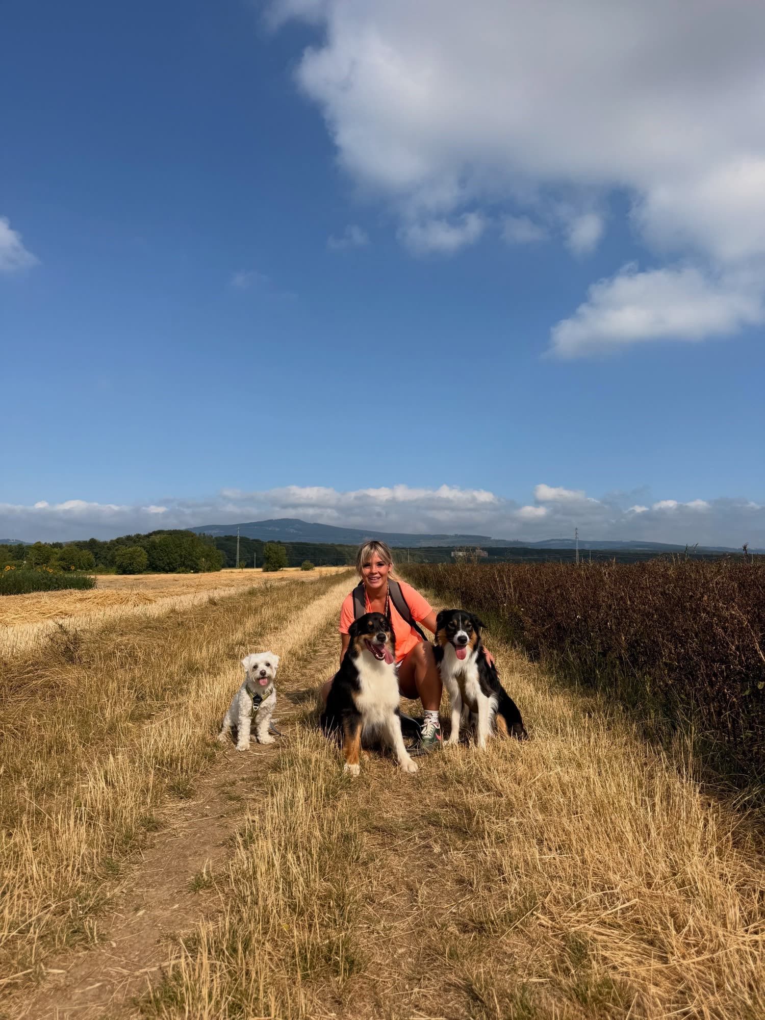 Fabienne kniet mit drei Hunden auf einem Feldweg zwischen goldenen Feldern, im Hintergrund der Taunus