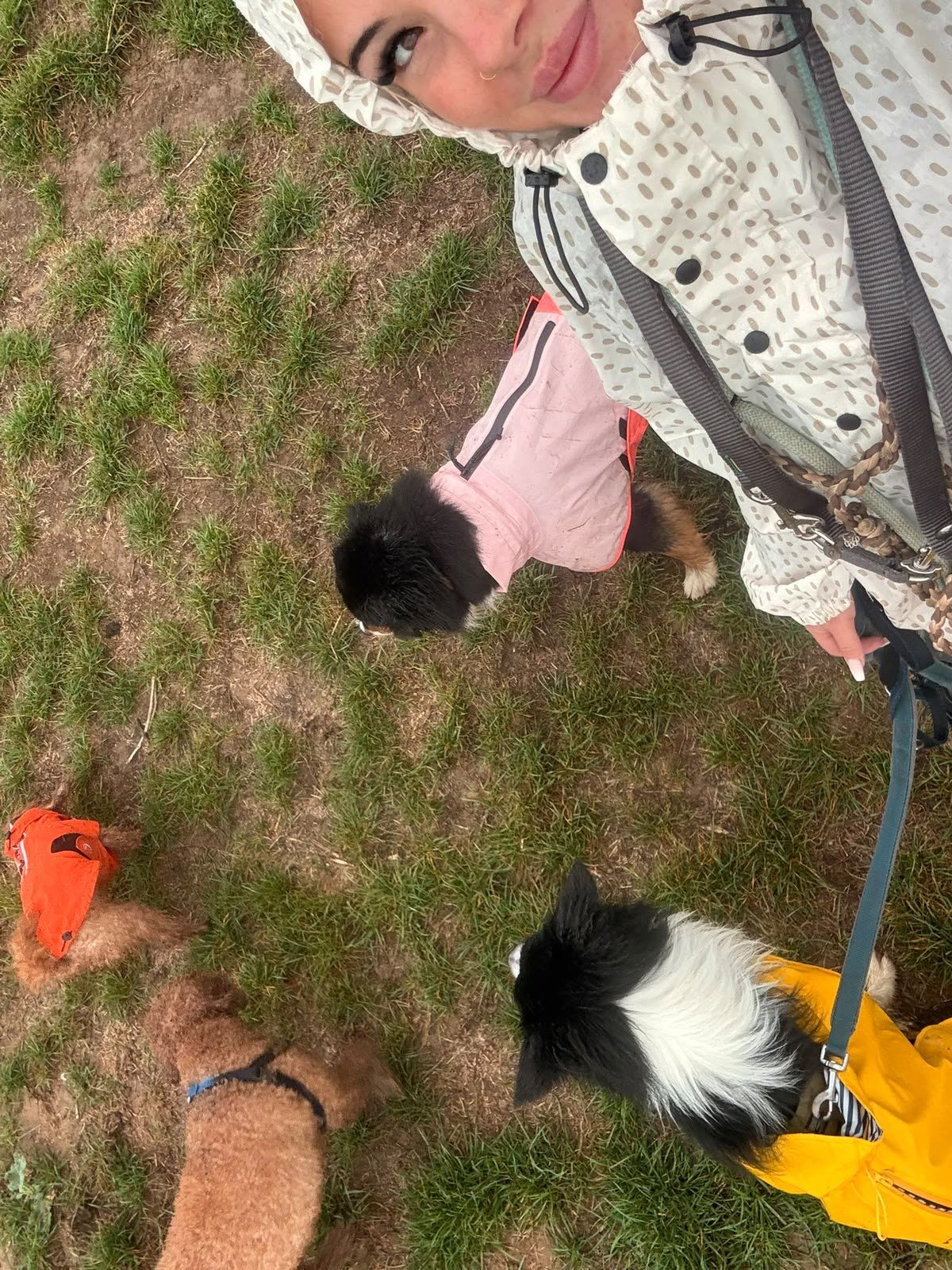 Fabienne in Regenjacke macht ein Selfie mit vier Hunden in bunten Regenmänteln auf der Wiese